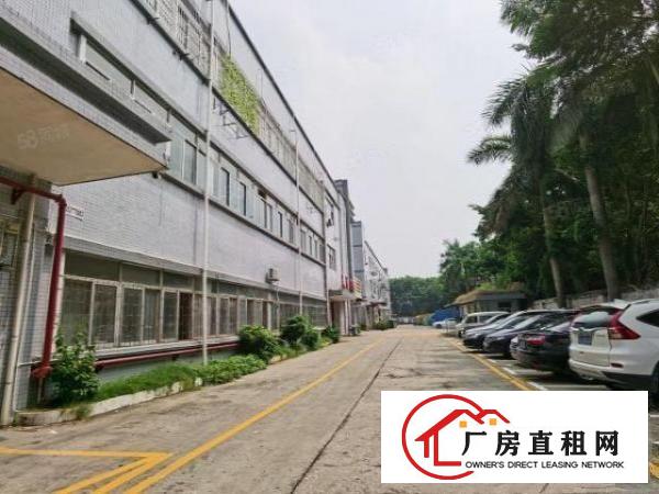  观澜桂花高速路口花园式一楼580平厂房出租