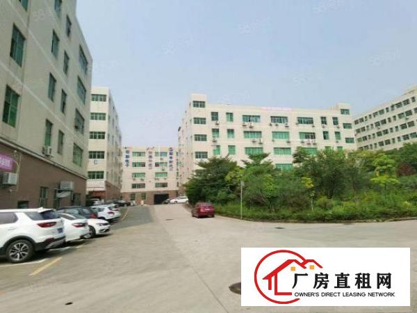  观澜桂花高速路口花园式一楼580平厂房出租