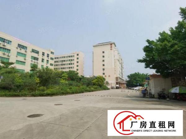  观澜桂花高速路口花园式一楼580平厂房出租