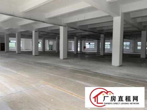  观澜库坑楼上整层2400平，可分租一半园区空地大，刚翻新外墙