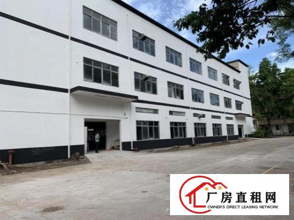  观澜库坑楼上整层2400平，可分租一半园区空地大，刚翻新外墙