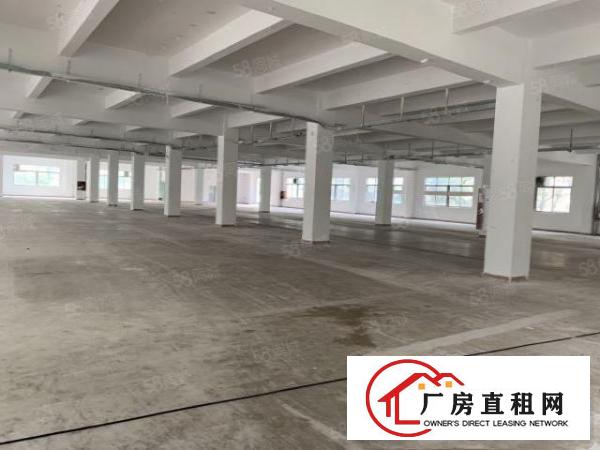  观澜库坑楼上整层2400平，可分租一半园区空地大，刚翻新外墙