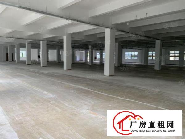  观澜库坑楼上整层2400平，可分租一半园区空地大，刚翻新外墙