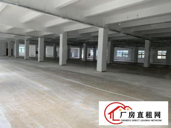  观澜库坑楼上整层2400平，可分租一半园区空地大，刚翻新外墙