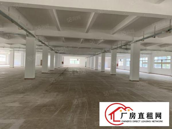  观澜库坑楼上整层2400平，可分租一半园区空地大，刚翻新外墙