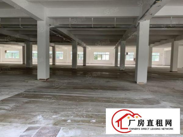  观澜库坑楼上整层2400平，可分租一半园区空地大，刚翻新外墙