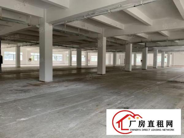  观澜库坑楼上整层2400平，可分租一半园区空地大，刚翻新外墙