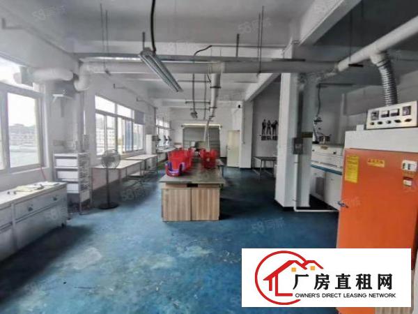  厂房龙华观澜500平红本标准精装修小面积标准厂房出租