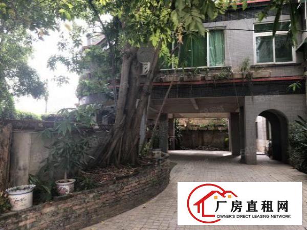  龙华区观澜大富独门独院10米高钢结构厂房出租3850平方