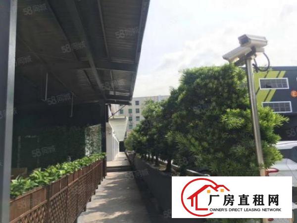  观澜章阁塘前市场附近170平米一楼办公仓库厂房业主直租