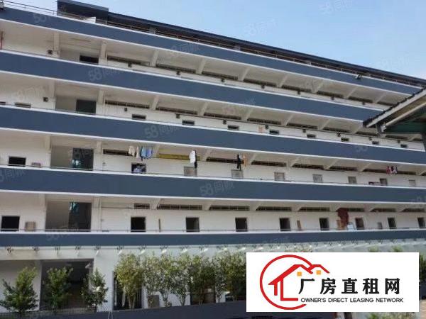  观澜章阁塘前市场附近170平米一楼办公仓库厂房业主直租