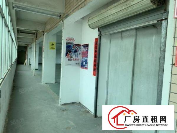  观澜君子布楼上360平，格局方正，带标准货梯，空地大好停车