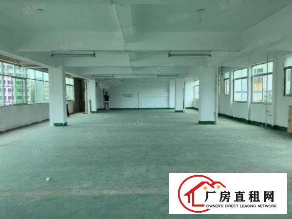  观澜君子布楼上360平，格局方正，带标准货梯，空地大好停车