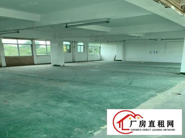  观澜君子布楼上360平，格局方正，带标准货梯，空地大好停车