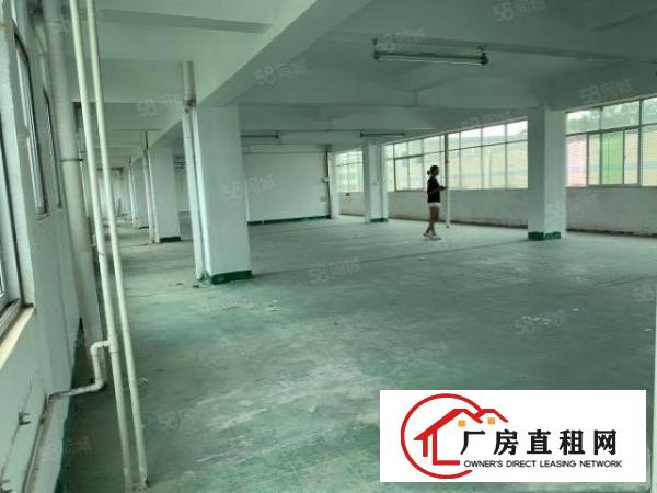  观澜君子布楼上360平，格局方正，带标准货梯，空地大好停车