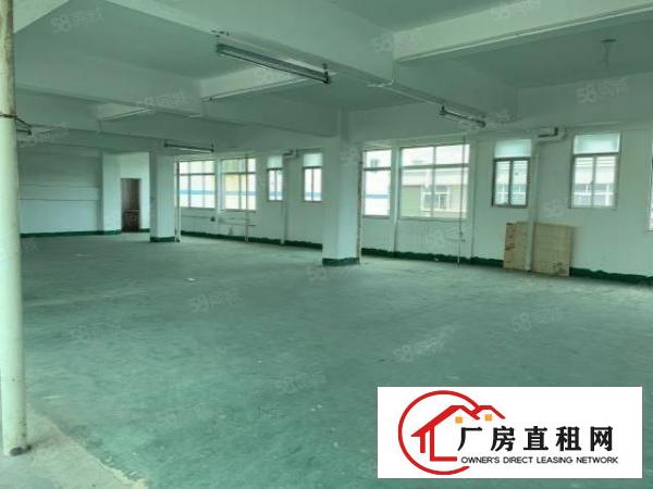  观澜君子布楼上360平，格局方正，带标准货梯，空地大好停车
