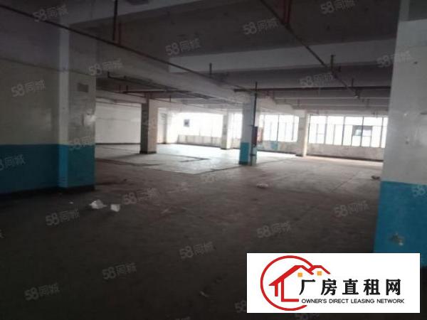  龙华观澜19500平方厂房出租