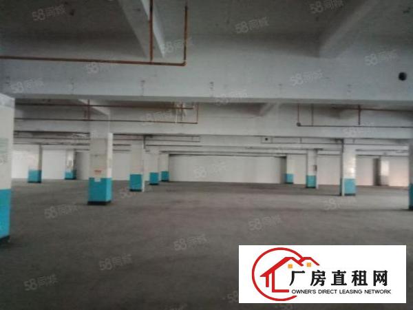  龙华观澜19500平方厂房出租