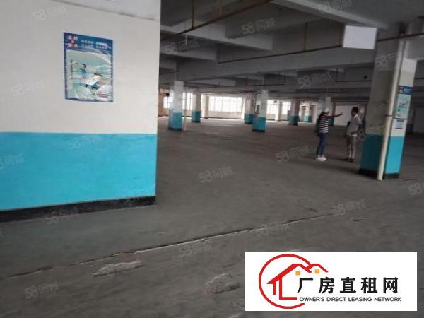  龙华观澜19500平方厂房出租