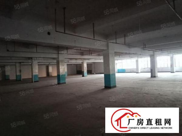  龙华观澜19500平方厂房出租