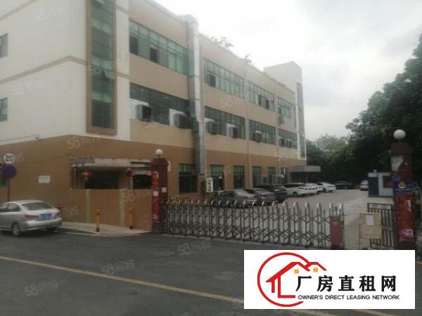  观澜桂花小学附近新出楼上950平方带装修厂房出租