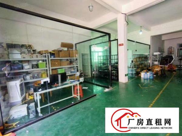  观澜环观中路新出一楼700平方带装修厂房出租