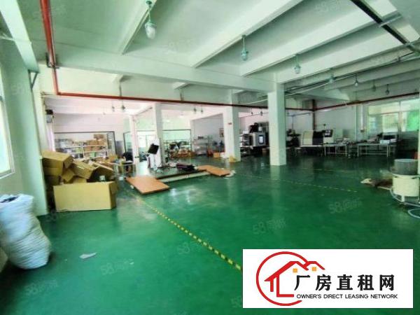  观澜环观中路新出一楼700平方带装修厂房出租