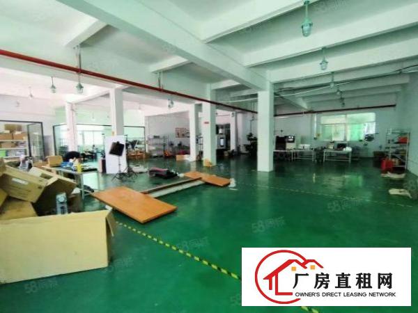  观澜环观中路新出一楼700平方带装修厂房出租