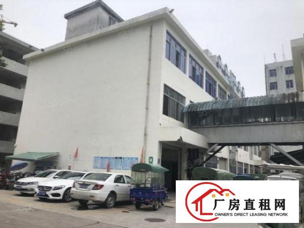  观澜福民精装修整层厂房910平无转让费出租