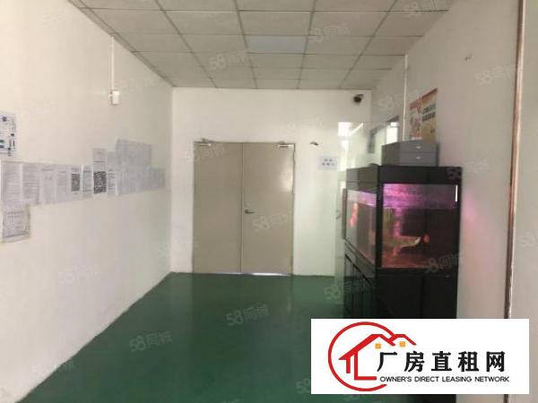  观澜福民精装修整层厂房910平无转让费出租