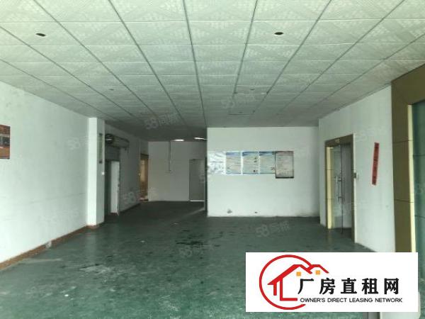  观澜福民精装修整层厂房910平无转让费出租