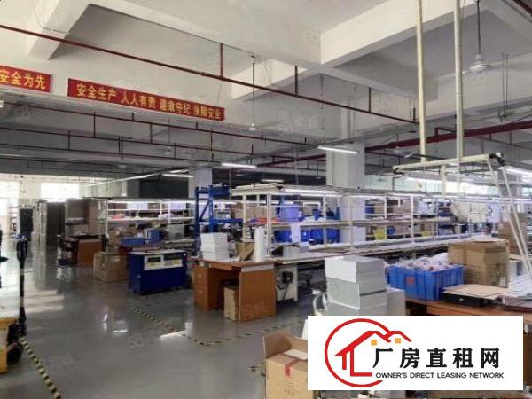  观澜福民泗黎路社保局大型工业园一层厂房2000平方免转让费