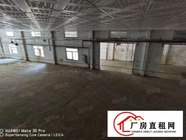  废品打包钢构独院厂房2200可分租25元观澜