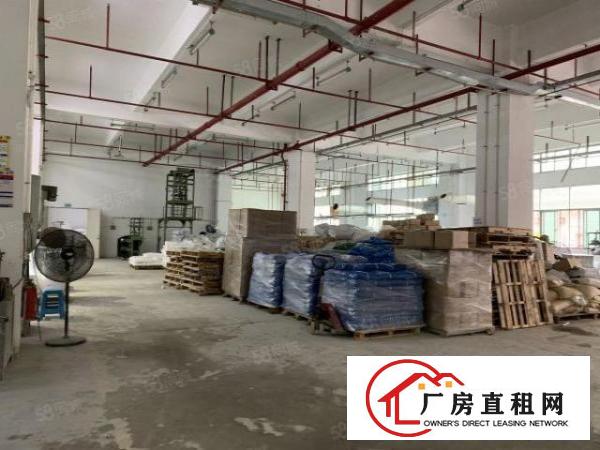  观澜福民龙观快速边上1楼2100平，层高6.5带办公室空地大