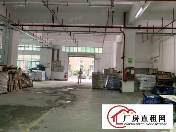  观澜福民龙观快速边上1楼2100平，层高6.5带办公室空地大