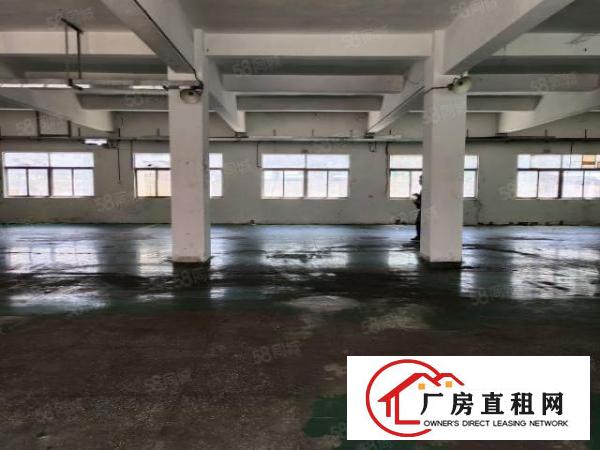  小面积福音，樟坑径上围新出一楼楼上1600平标准厂房