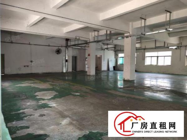  小面积福音，樟坑径上围新出一楼楼上1600平标准厂房