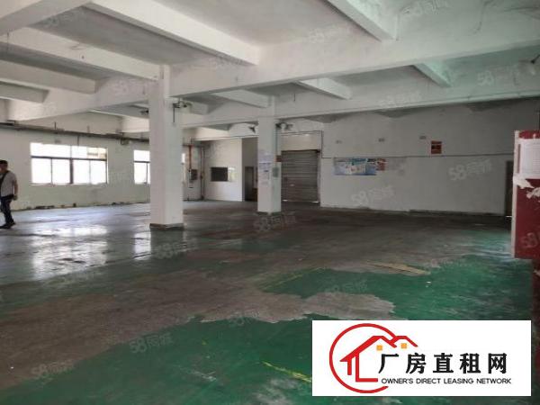  小面积福音，樟坑径上围新出一楼楼上1600平标准厂房
