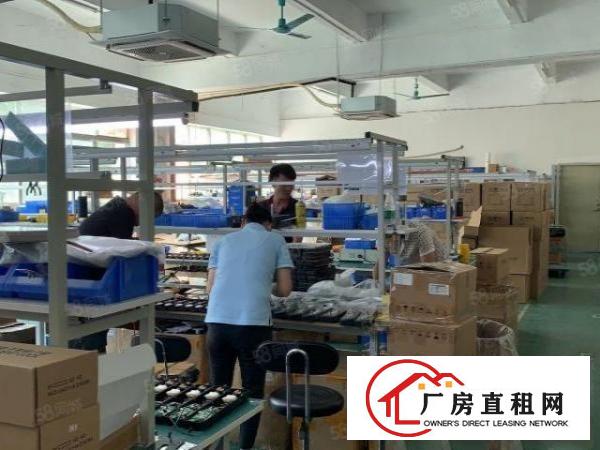  观澜库坑.三楼550平.现成办公室.前台.地坪漆.吊顶