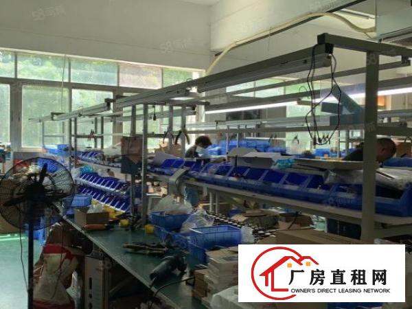  观澜库坑.三楼550平.现成办公室.前台.地坪漆.吊顶
