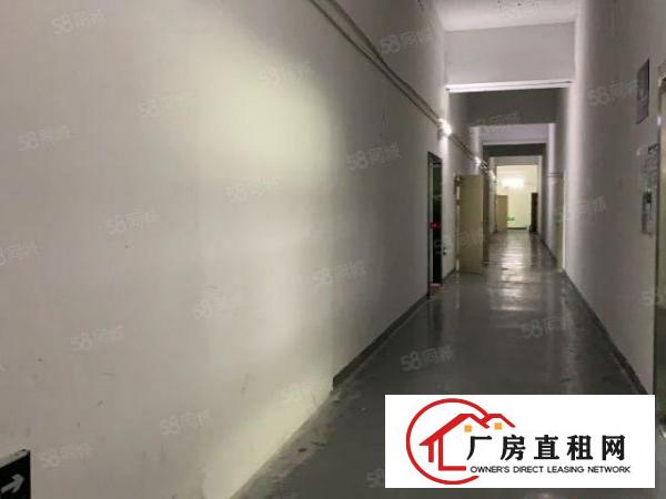  观澜库坑.三楼550平.现成办公室.前台.地坪漆.吊顶