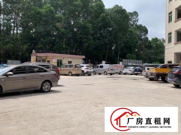  观澜库坑.三楼550平.现成办公室.前台.地坪漆.吊顶