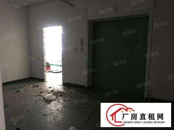  观澜福民工业园800平200平起分厂房招租出租分租带精装修
