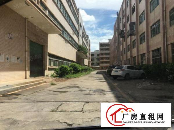  观澜福民工业园800平200平起分厂房招租出租分租带精装修