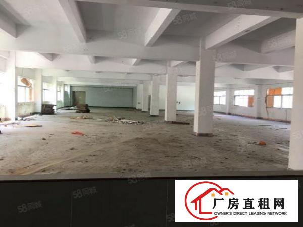  观澜福民工业园800平200平起分厂房招租出租分租带精装修