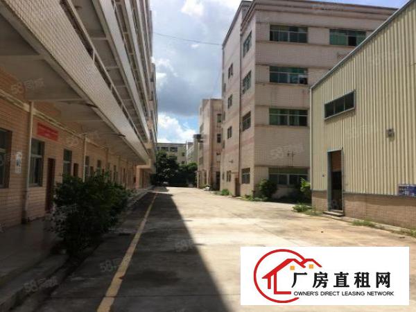  观澜福民工业园800平200平起分厂房招租出租分租带精装修