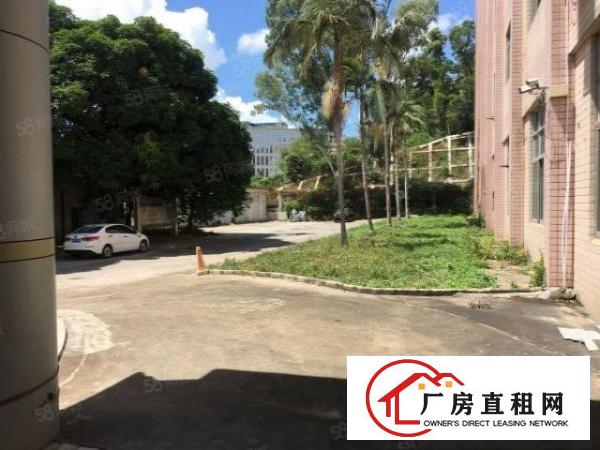  观澜福民工业园800平200平起分厂房招租出租分租带精装修