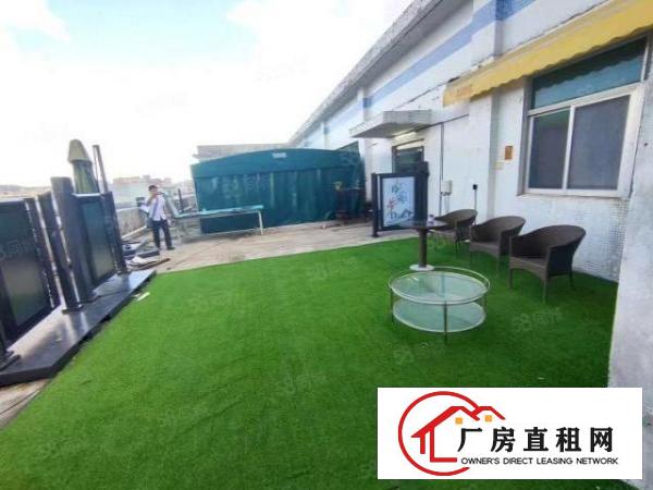  观澜牛湖检查站环观南路边带装修厂房出租750平方免转让费
