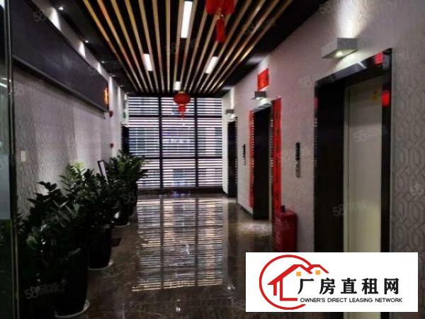  观澜樟坑径大型园区100到5000大小面积现成装修厂房出租