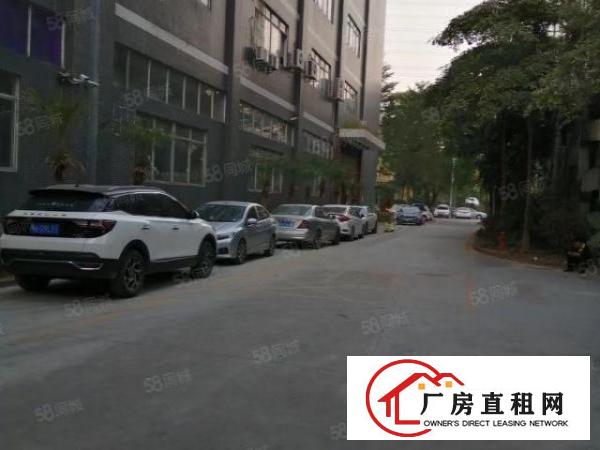  观澜樟坑径大型园区100到5000大小面积现成装修厂房出租